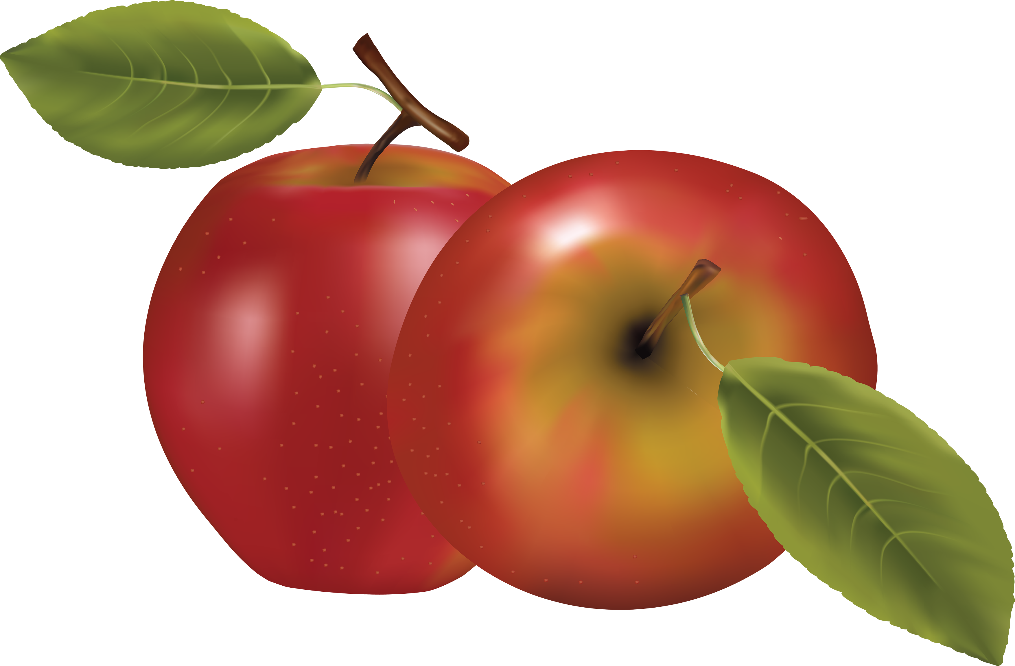 clipart apples seller