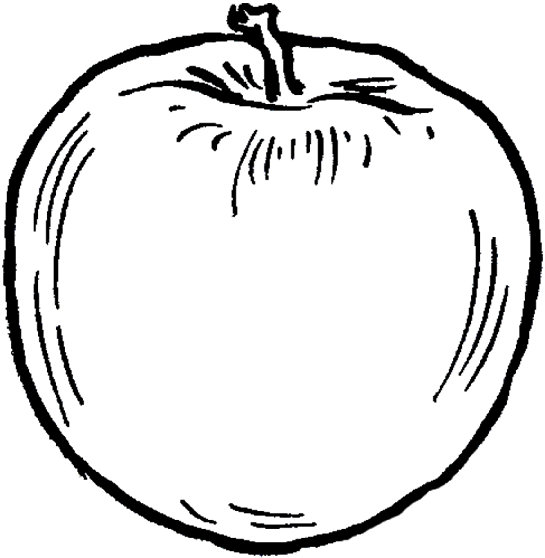 clipart apples line
