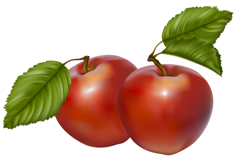 apples clipart template