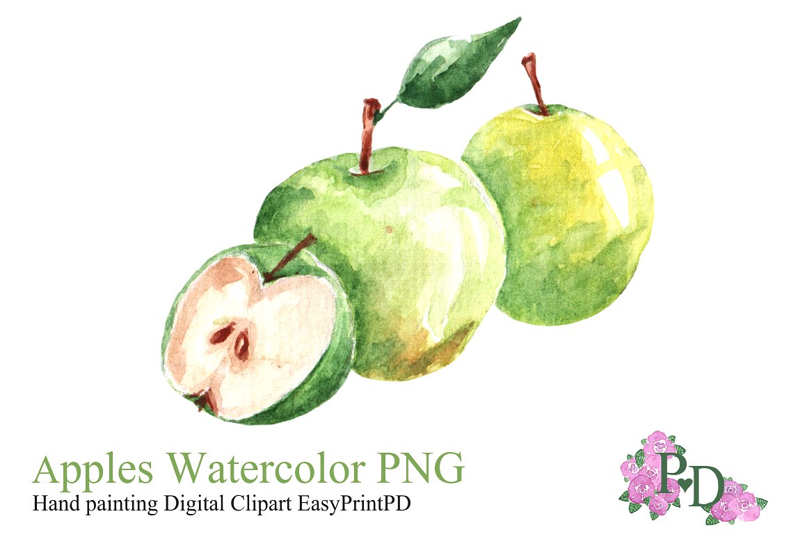 apple clipart watercolor