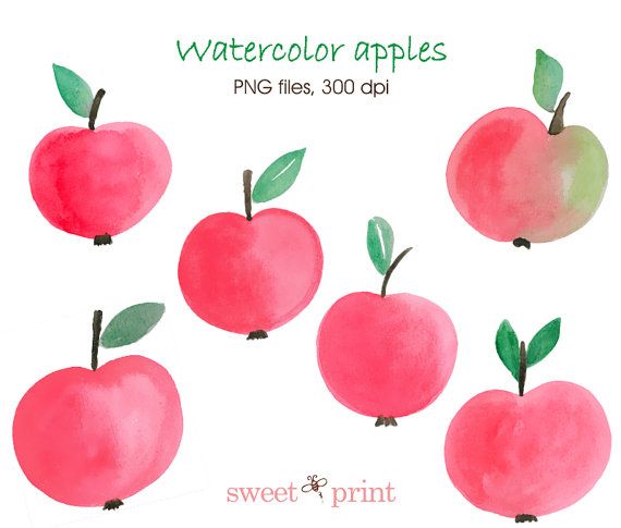 Apples clipart watercolor. Apple digital watercolour hand