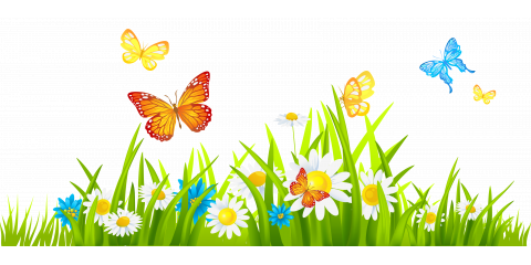april clipart butterfly