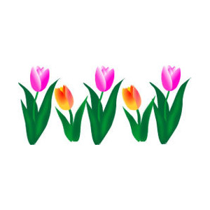 Pencil and in color. Clipart spring tulip