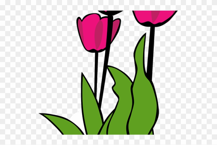April clipart tulip. Clip art hd png