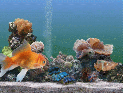 aquarium clipart animated
