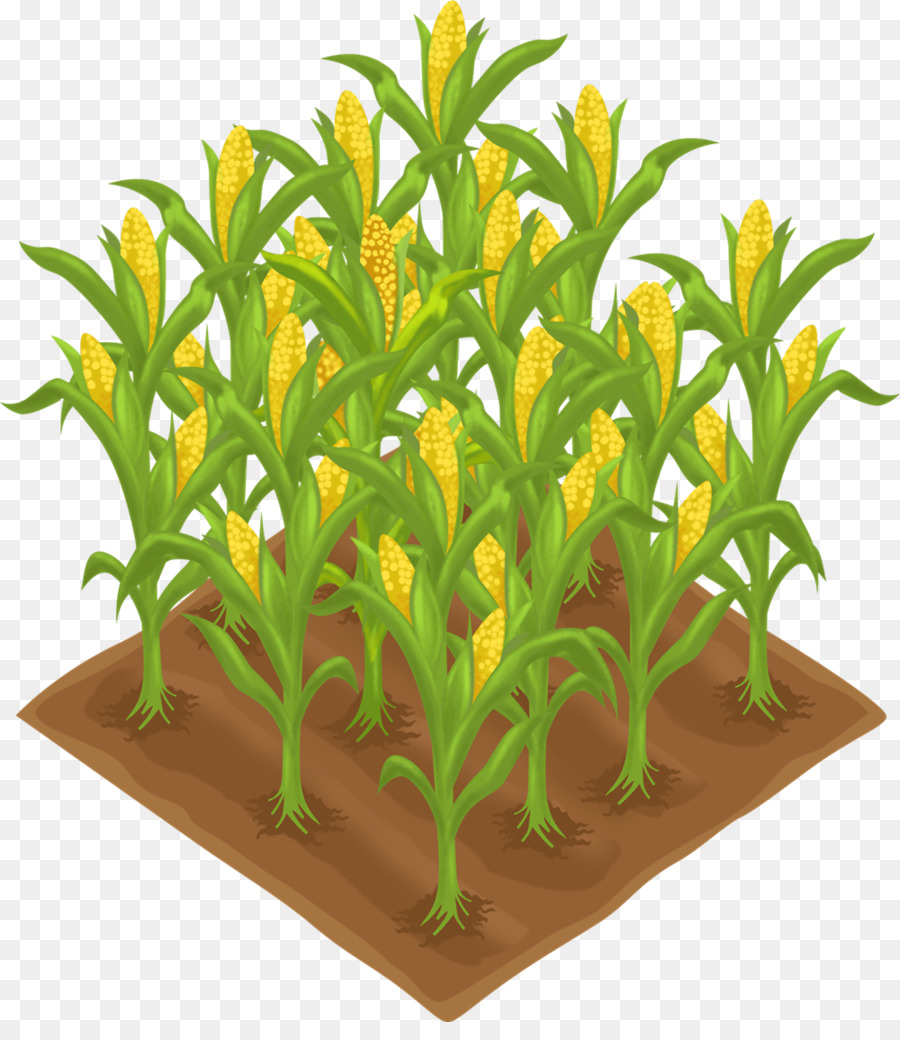 crops clipart clip art