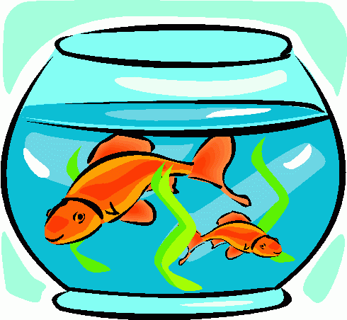 goldfish clipart 5 fish