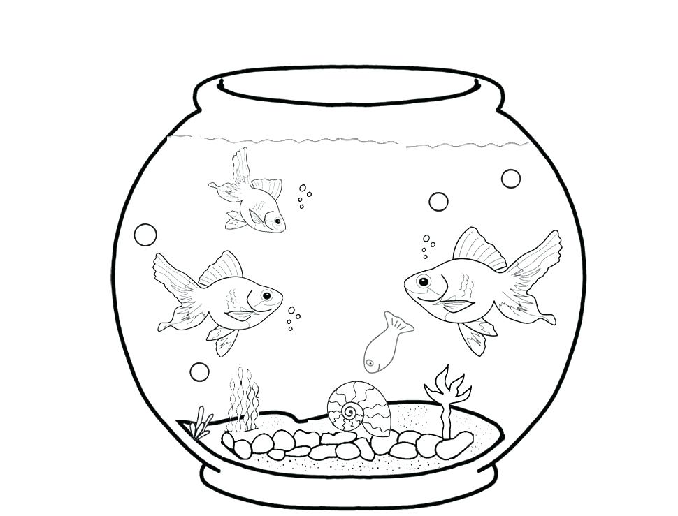aquarium clipart coloring page