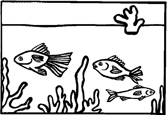 aquarium clipart coloring page