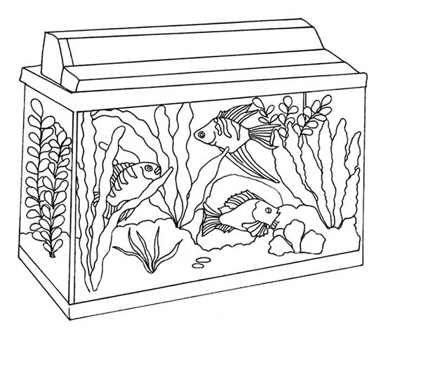 aquarium clipart coloring page