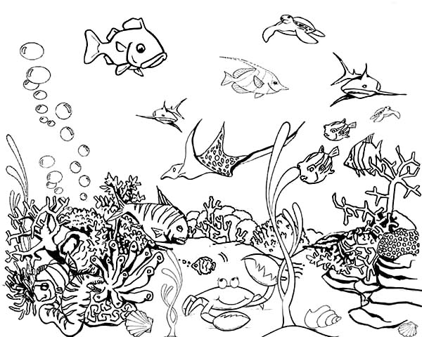 aquarium clipart colouring page