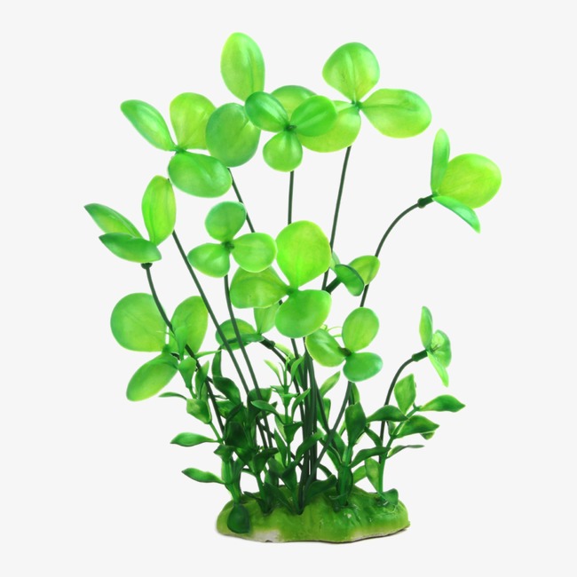 Aquarium clipart decoration. Decorative fish tank simulation