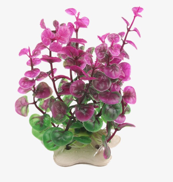 Simulation plants set product. Aquarium clipart decoration