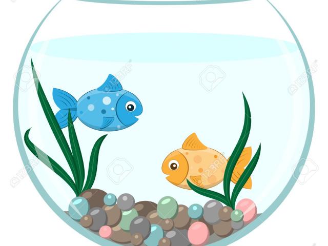 aquarium clipart fish feeder