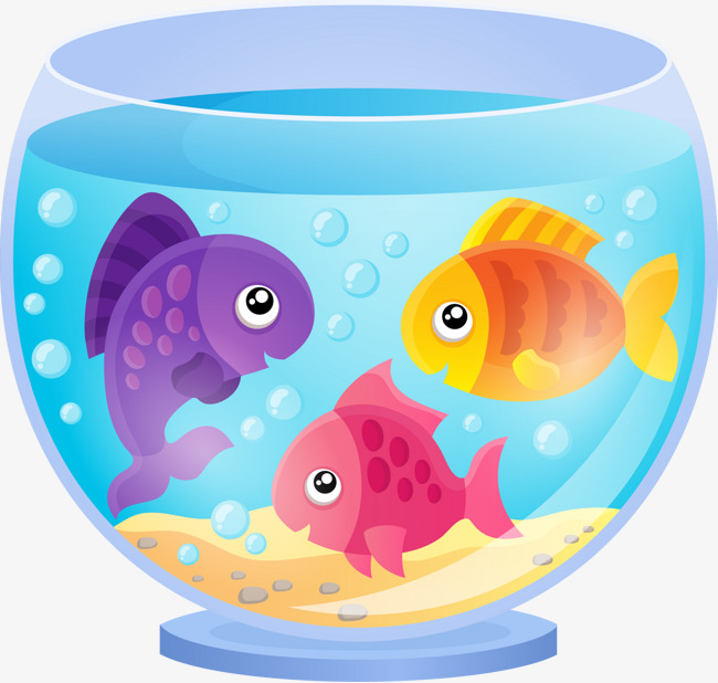Aquarium clipart fish feeder, Aquarium fish feeder Transparent FREE for ...