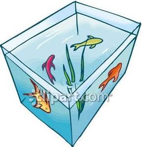 aquarium clipart pool