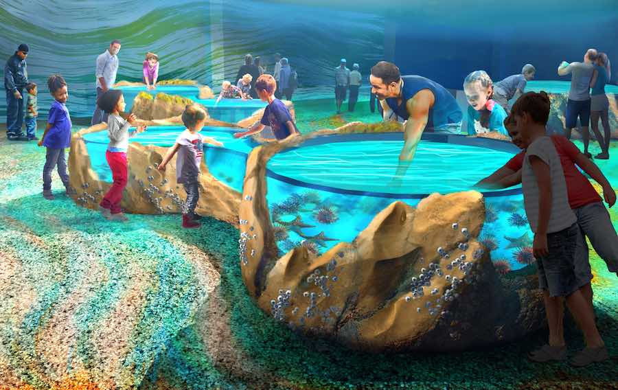 aquarium clipart pool
