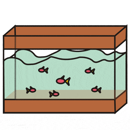  clipartlook. Aquarium clipart rectangle