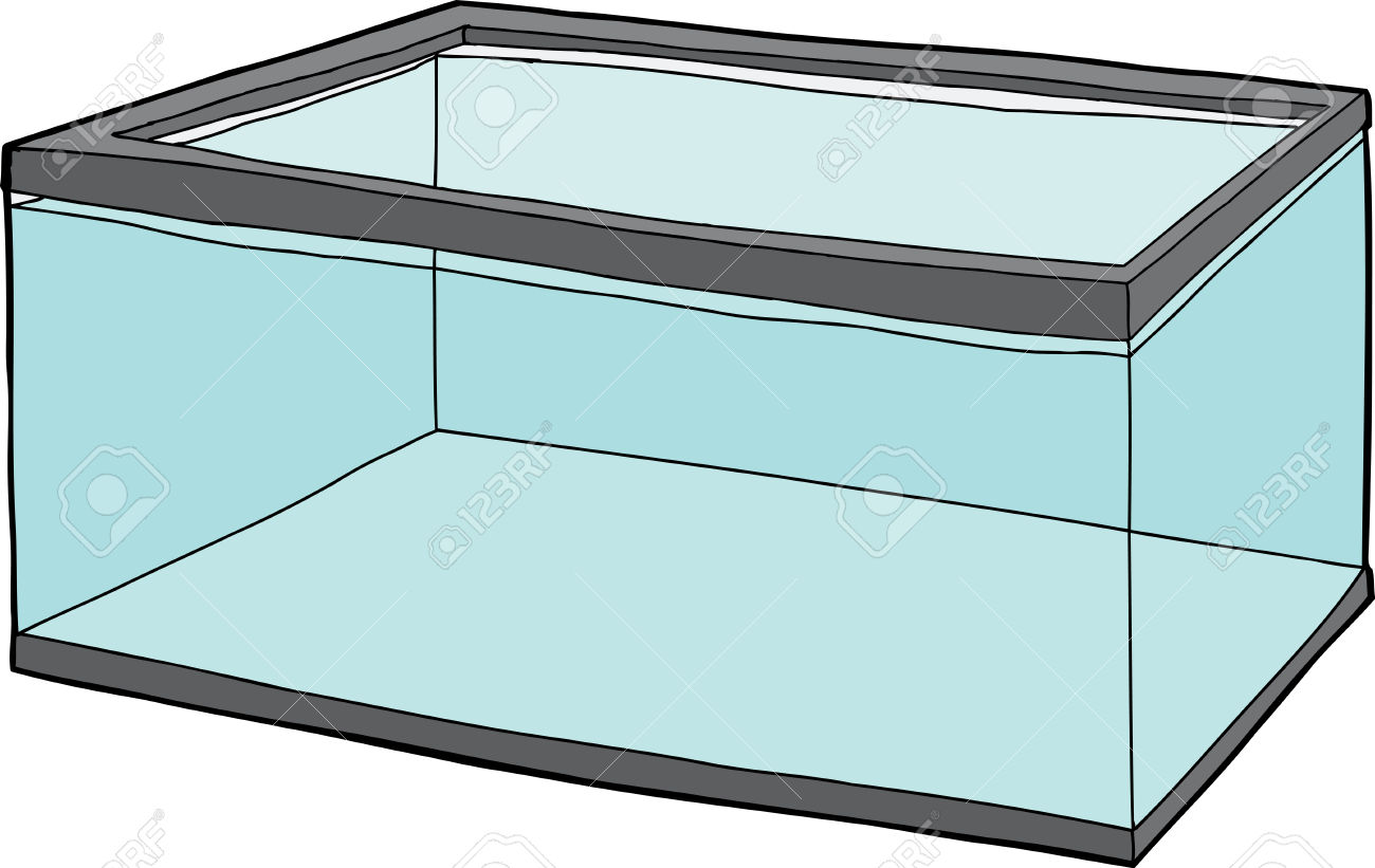 Прямоугольный аквариум с водой