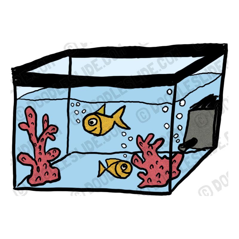 aquarium clipart rectangular aquarium