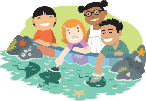 Kids the arts image. Aquarium clipart transparent