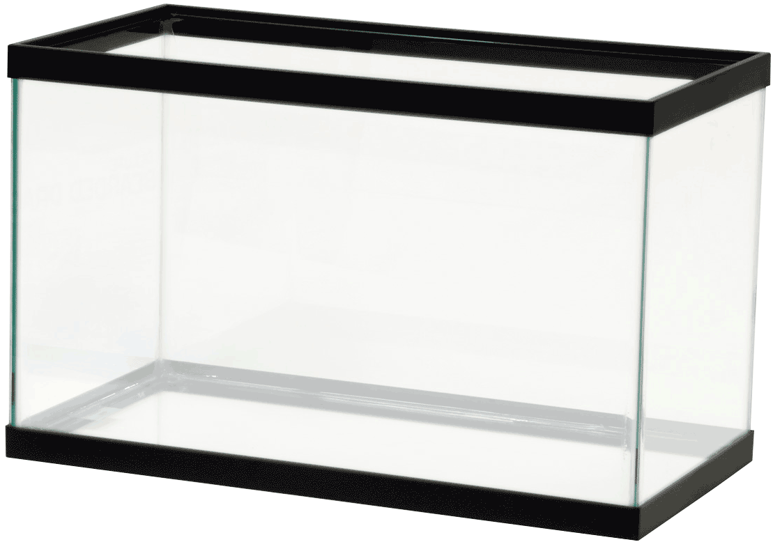 fishbowl clipart empty square aquarium