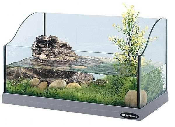 aquarium clipart turtle tank