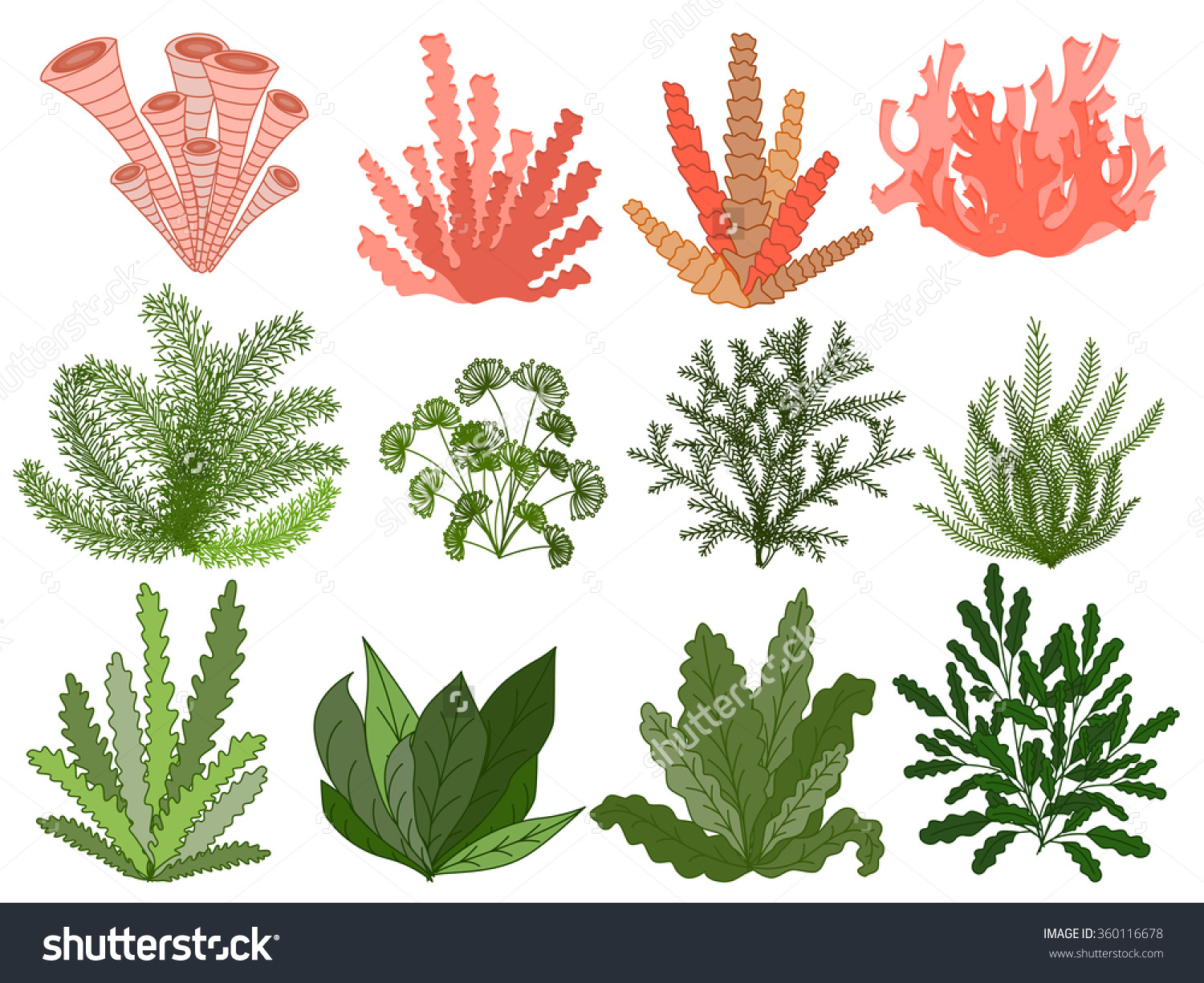 Plants drawing at getdrawings com free for.