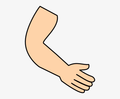 Arm clipart. Search for dlpng com