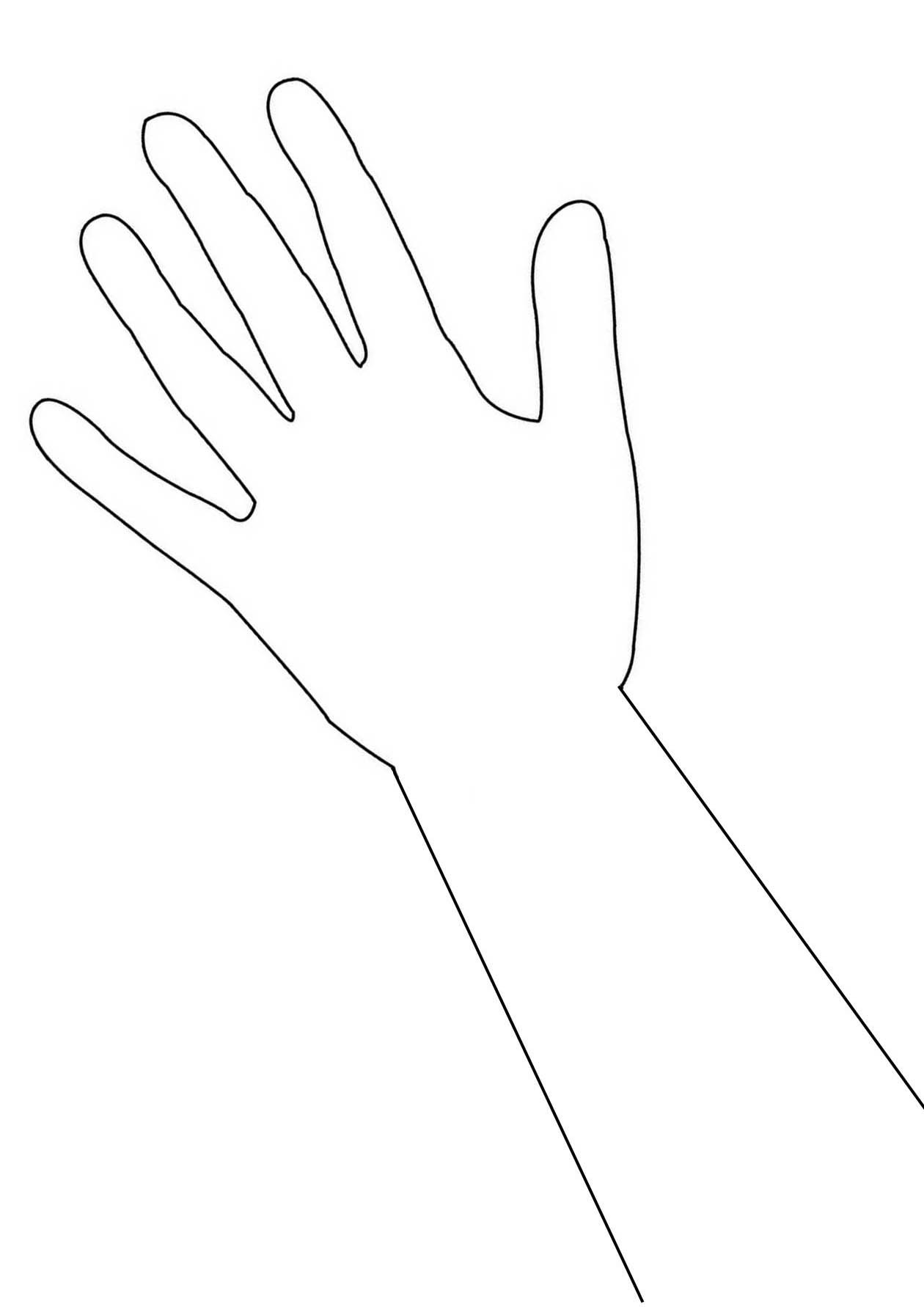 arm clipart arm outline