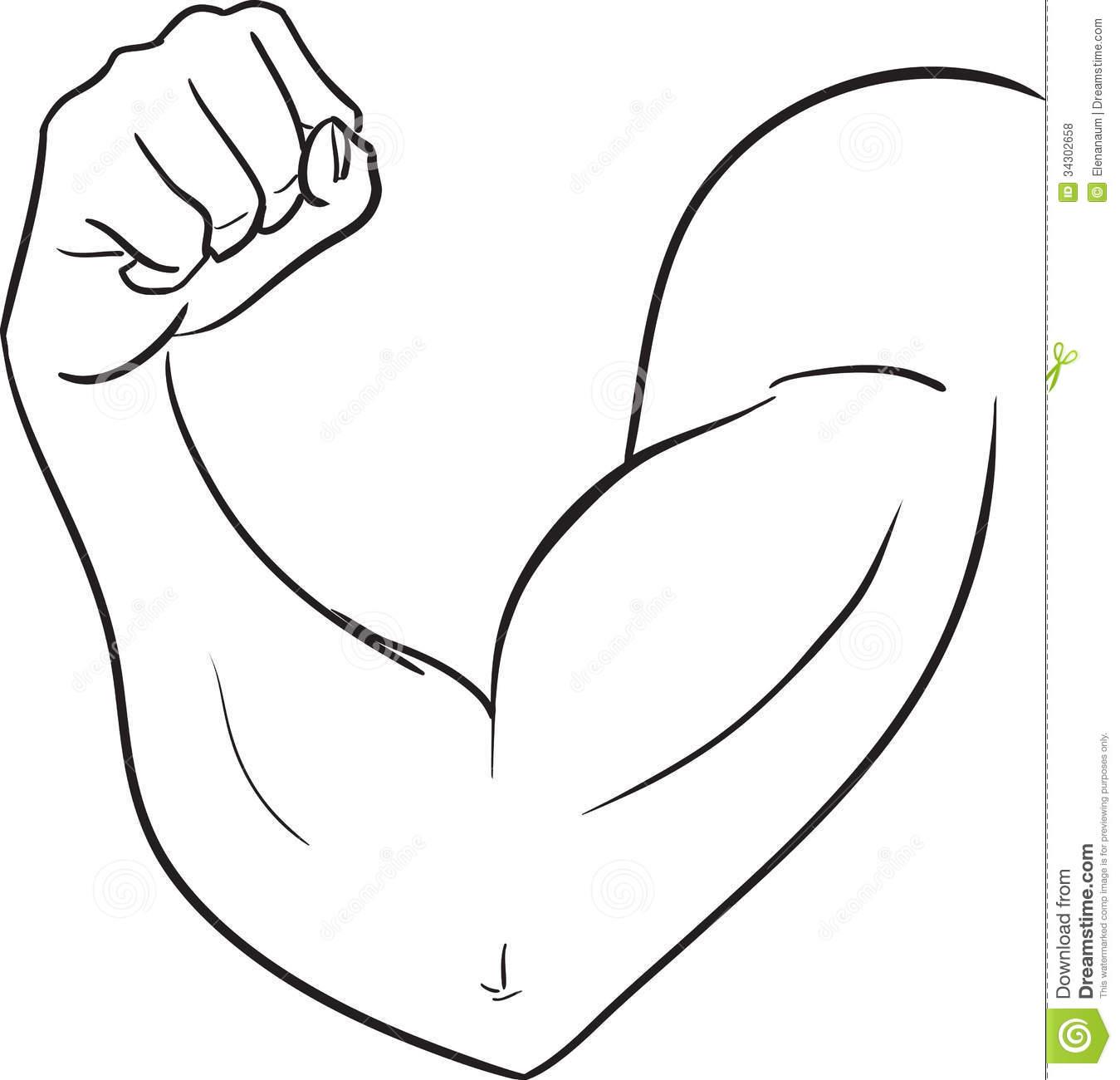 Bicep group muscle arms. Arm clipart bent arm