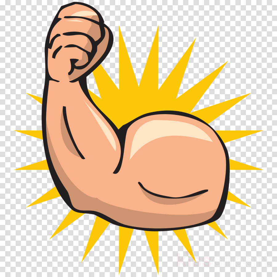 Muscles clipart cartoon, Muscles cartoon Transparent FREE for download