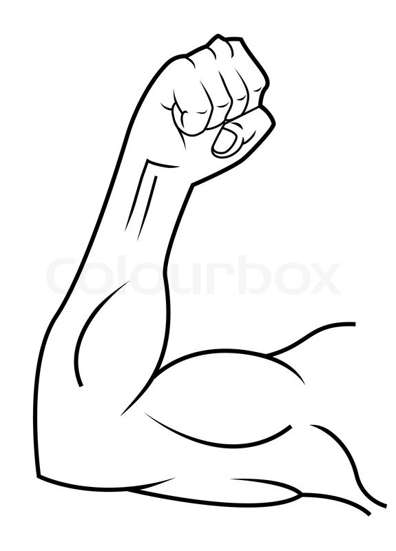 Arm clipart drawing. Muscle at getdrawings com