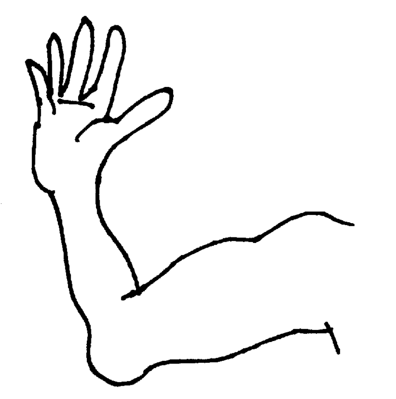  collection of weak. Arm clipart drawing
