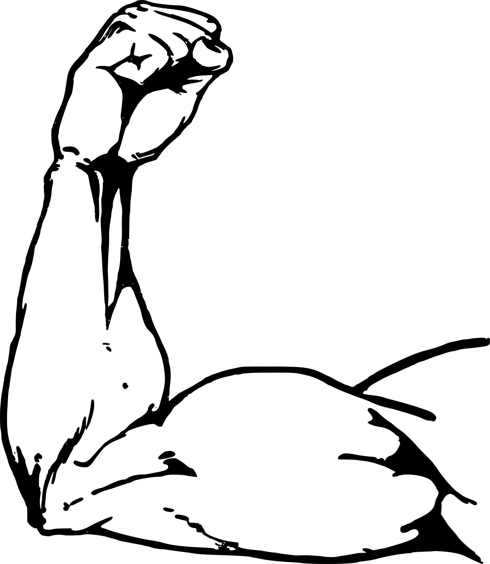 arm clipart muscle