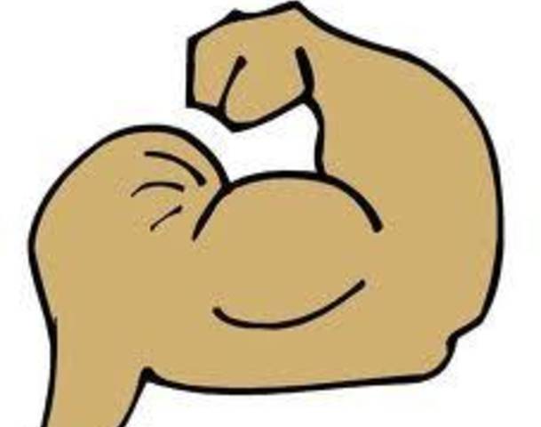 Left muscle . Arm clipart muscular arm