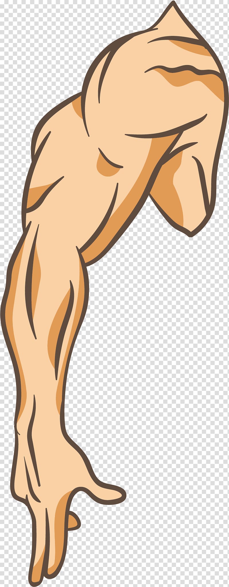 Computer file strong powerful. Arm clipart right arm