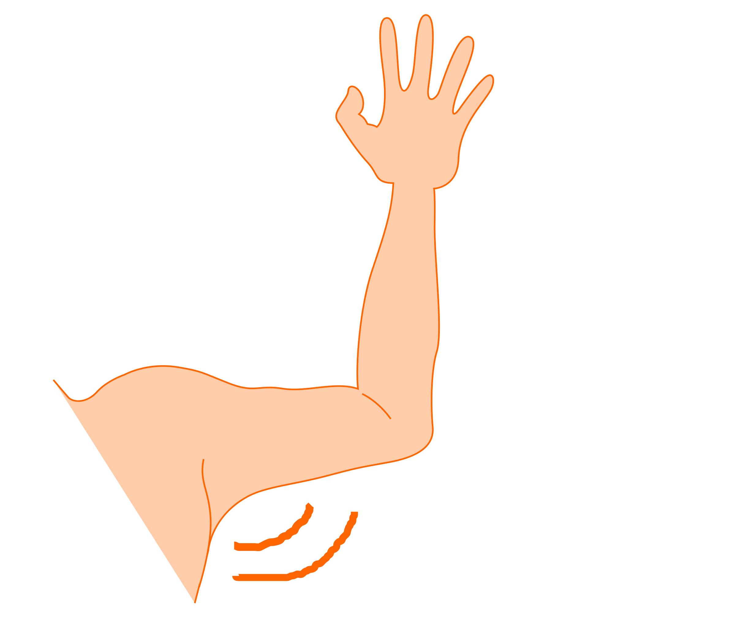 muscle clipart bent arm
