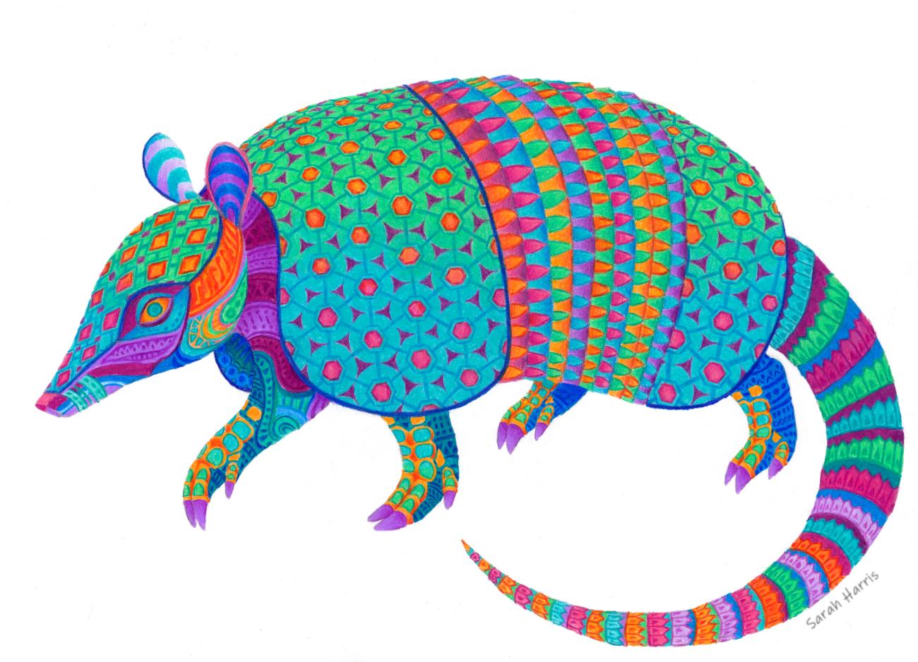 Alebrije colored pencils x. Armadillo clipart colorful