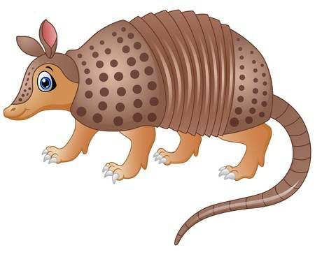 Armadillo clipart colorful. Wallpaper blink 