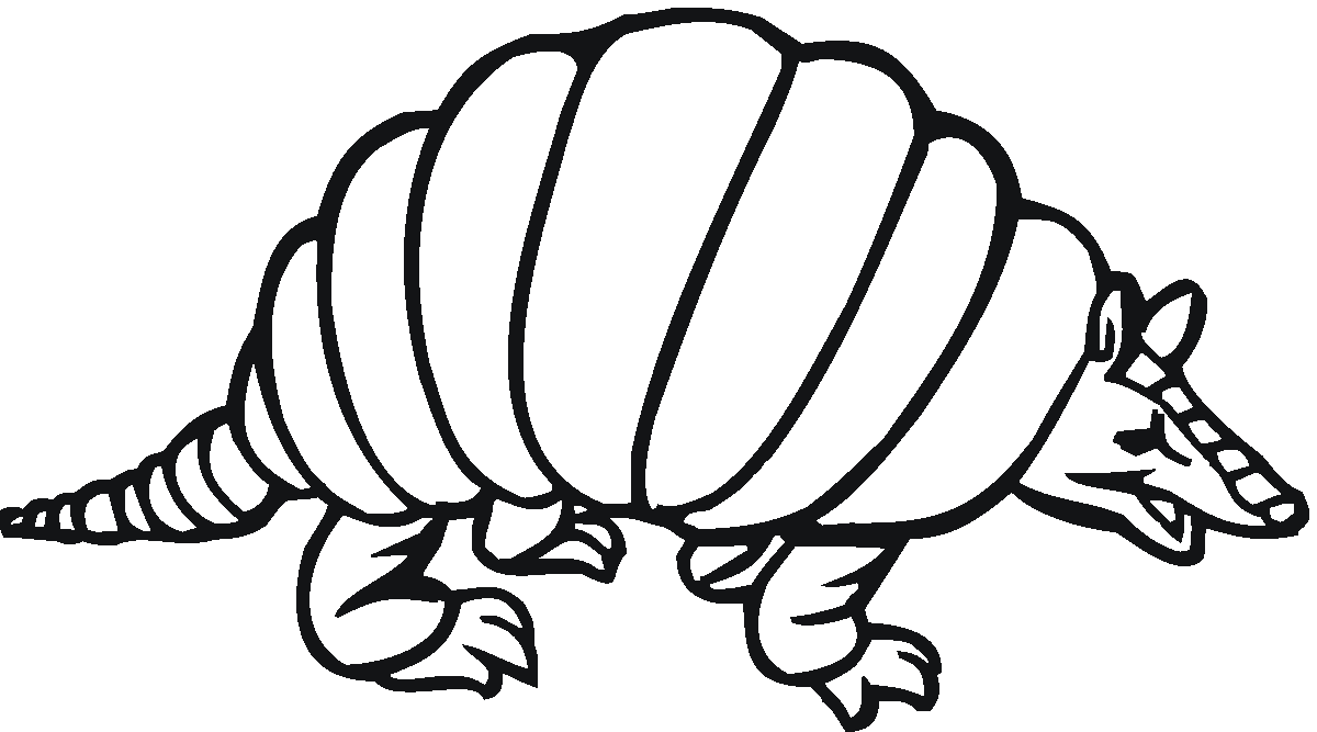 Armadillo clipart coloring page. Pages 