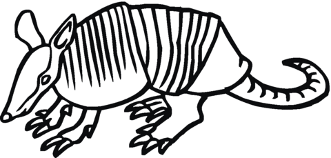 Free printable pages. Armadillo clipart coloring page