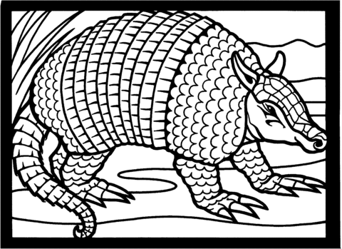 Armadillo clipart coloring page. Texas nine banded free
