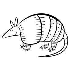 Pages mexican free. Armadillo clipart coloring page
