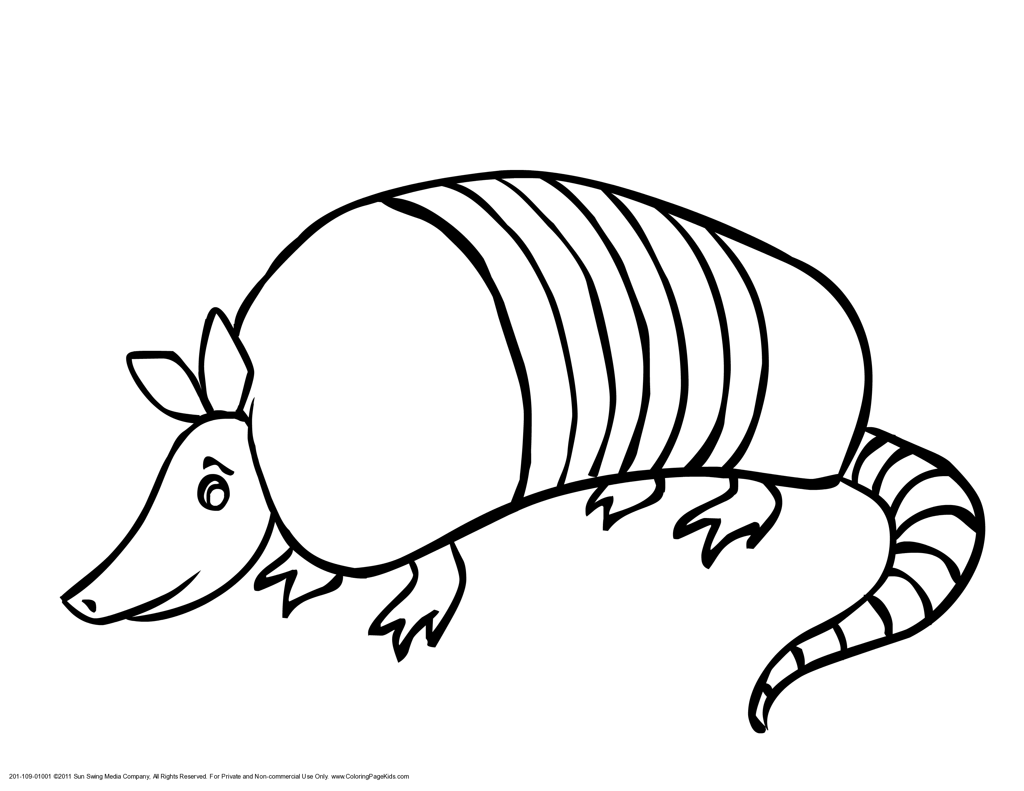 Printable texas unit pinterest. Armadillo clipart coloring page