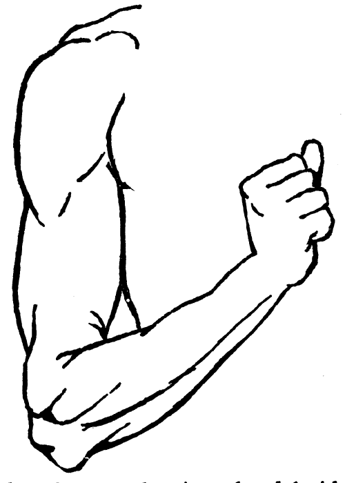 arms clipart arm leg