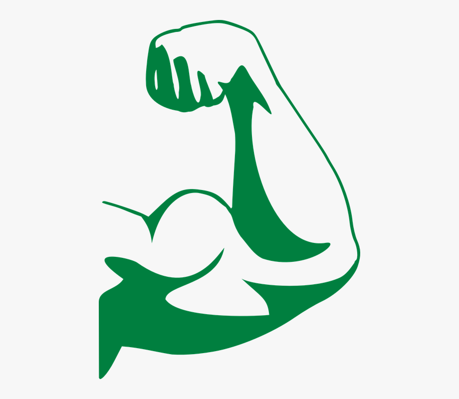 Strong muscles bodybuilder fitness. Muscle clipart arm logo