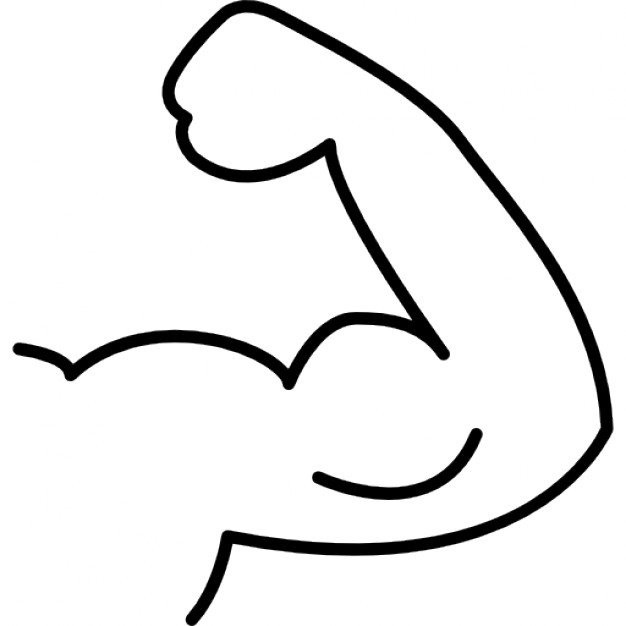 arm clipart muscle