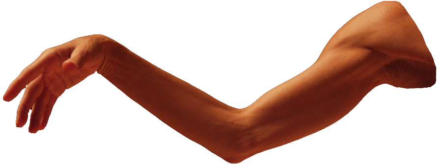 arms clipart human arm