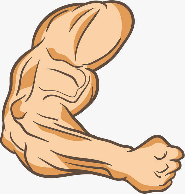 muscles clipart arm leg 2992113. 